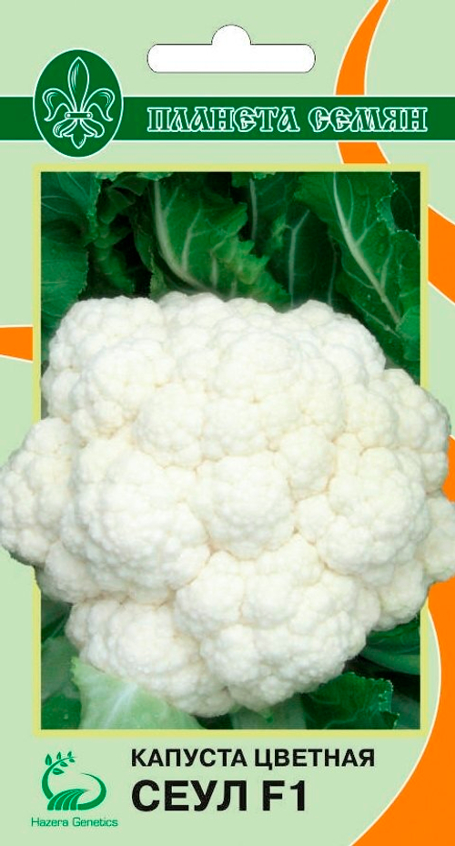 Капуста цветная Сеул F1