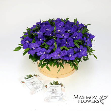 Композиция из орхидеи "Удивление"