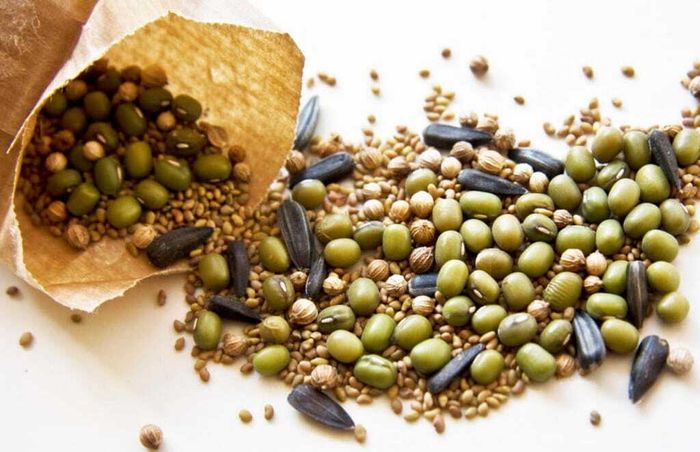 Рекомендации по обращению с семенами и их хранению