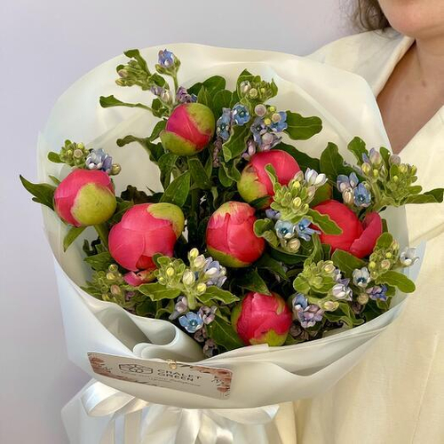 Авторский букет с пионами Коралл Шарм и оксипеталумом. Авторский букет 037 Chalet Green