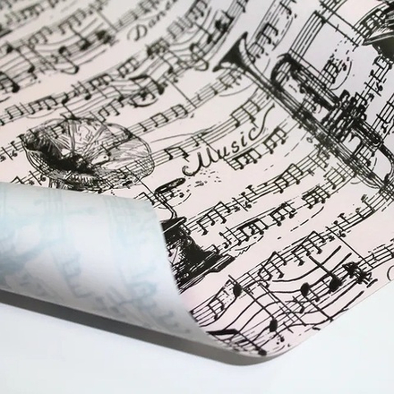 Пленка матовая 2-х сторонняя "Ноты"