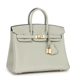 Женская сумка из коллекции B с золотой фурнитурой Hermès Birkin