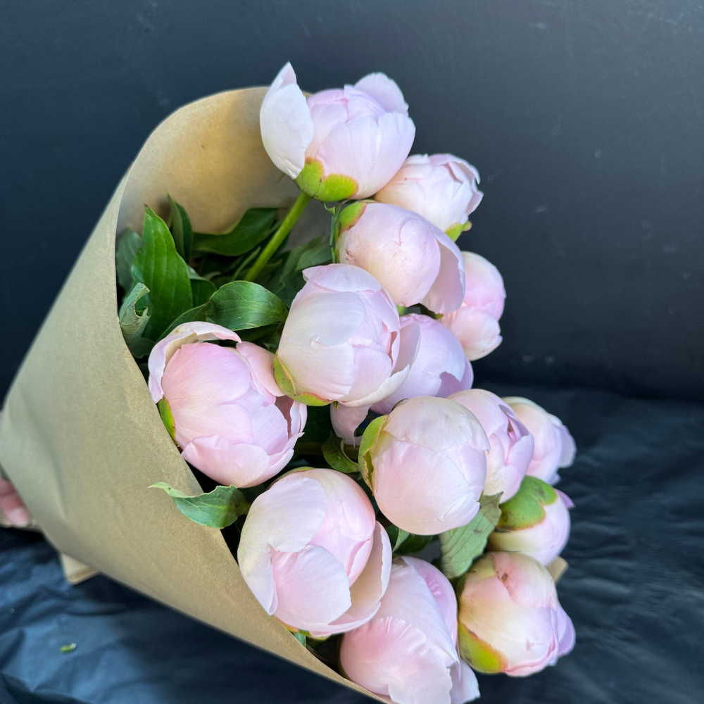 Пионы розовые нежные 15 шт