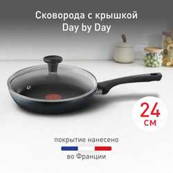 Сковорода с крышкой Tefal Day by Day 24 см 04216924
