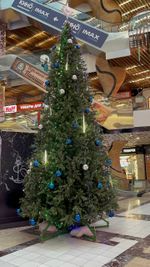 Большая елка «Сказочная» (Литая+пвх) 8 м