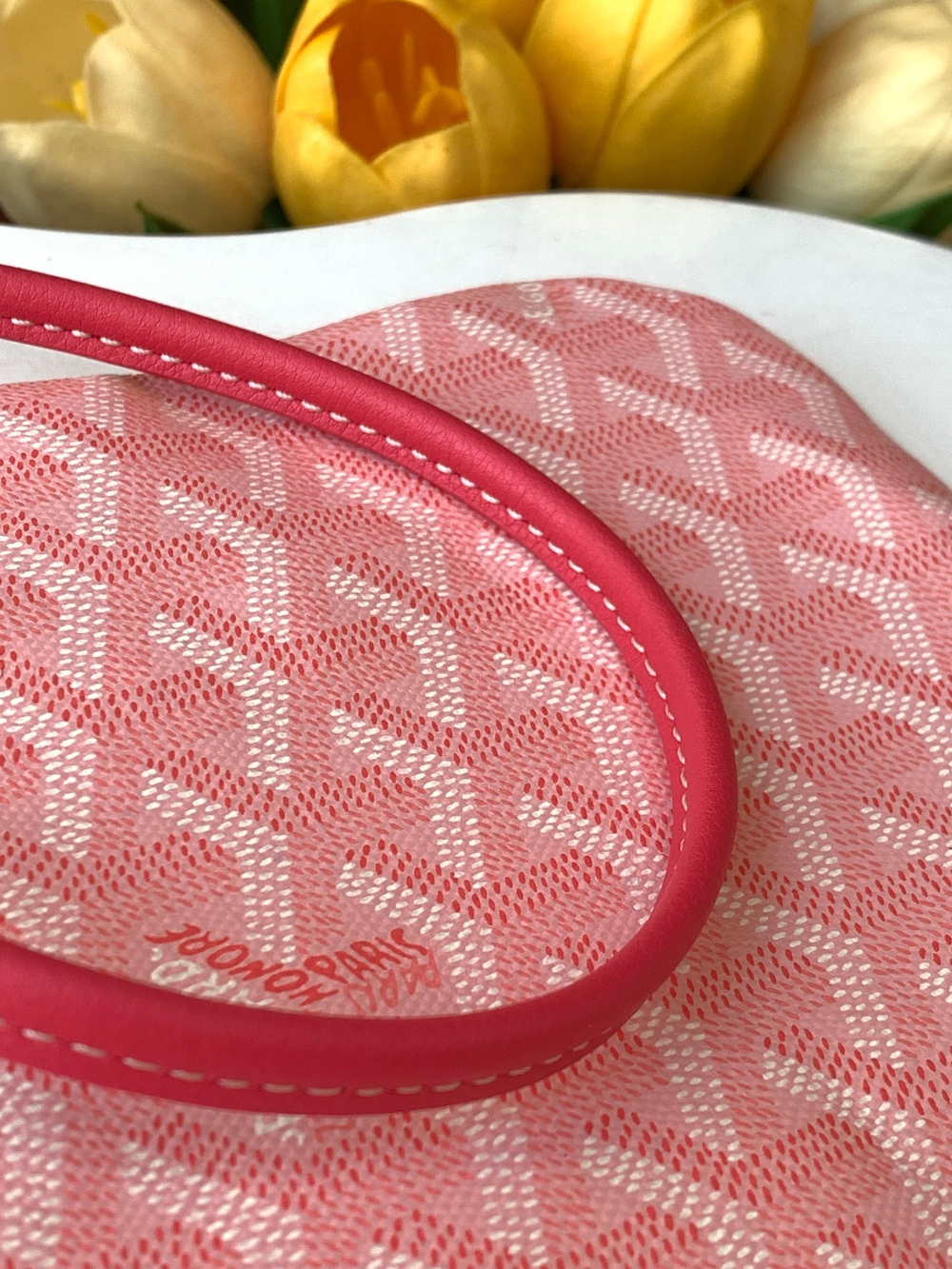 Goyard Poitiers Claire-Voie Bag