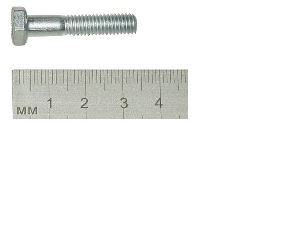 Болт маслянного насоса 1118, 2170 (М6х30)