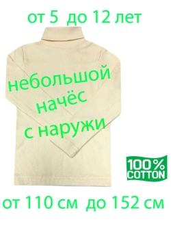 Водолазка с небольшим начесом