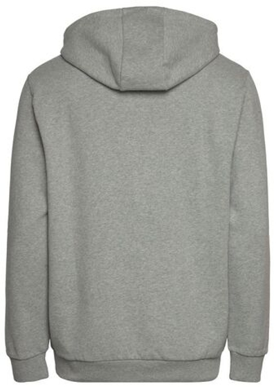 Мужская теннисная кофта Ellesse Palleonetto Hoodie - heather gray