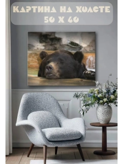 Картина на стену 40 X 50 Медведь