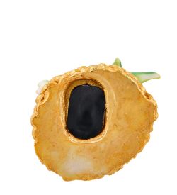 MC-403/4 Копилка «Дракон на золоте»