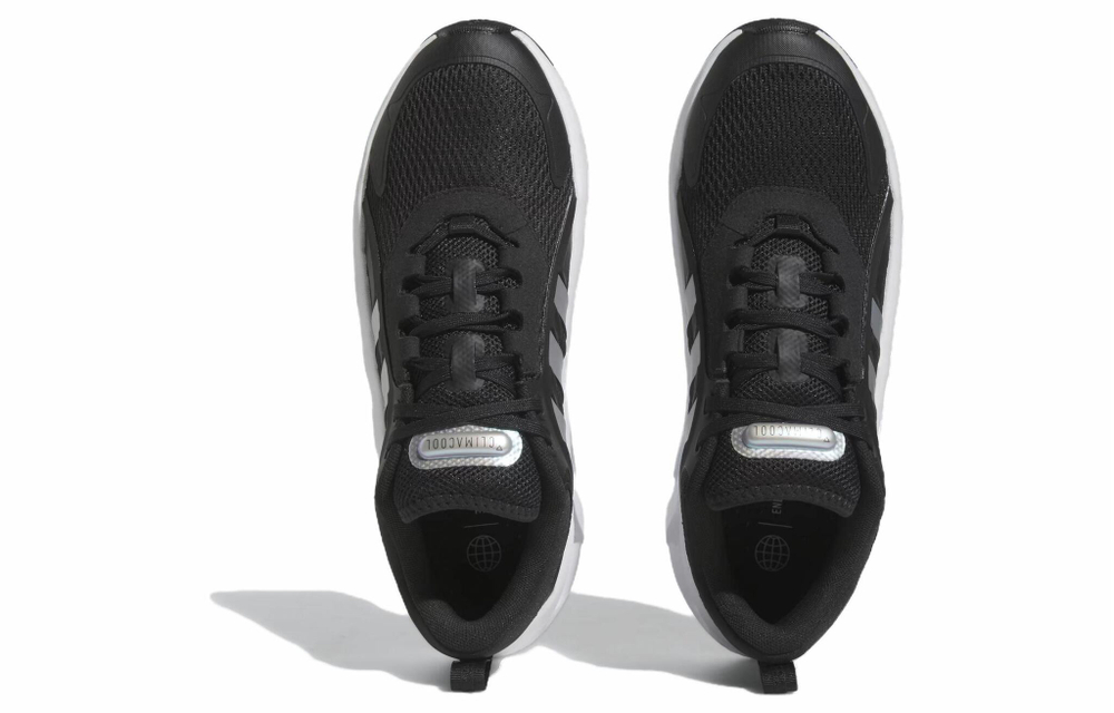 Кроссовки Adidas Climacool