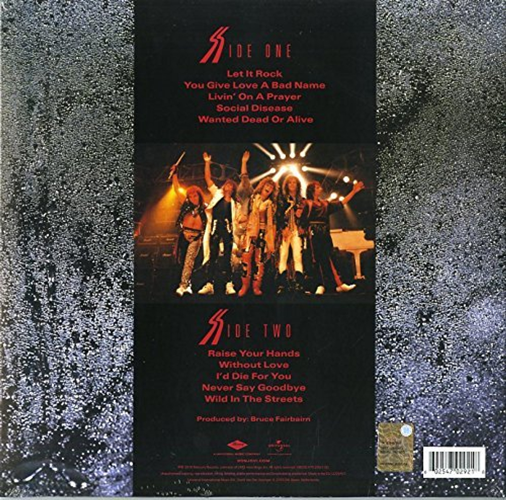 Bon Jovi / Slippery When Wet (LP)