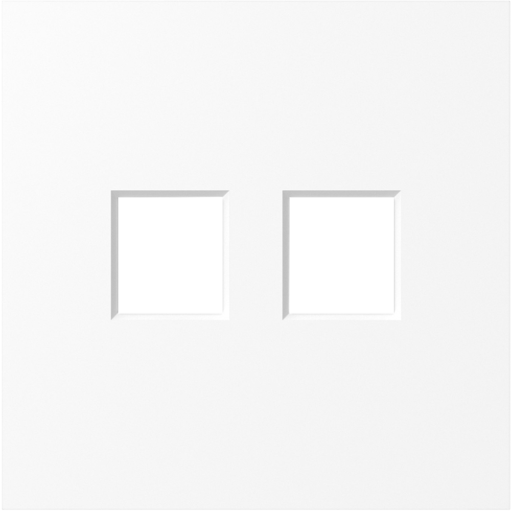 Накладка 2-я для розеток RJ45, TV, SAT, глянцевый белый, серия S08