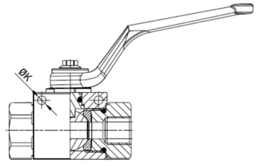 Кран 2-х ходовой шаровый NPT 1/4 DN 06 P=500 GE2NTT