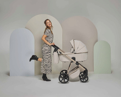 Детская коляска Adamex Delta Natura 2 в 1 DN-3-VANILLA (ВАНИЛЬ)