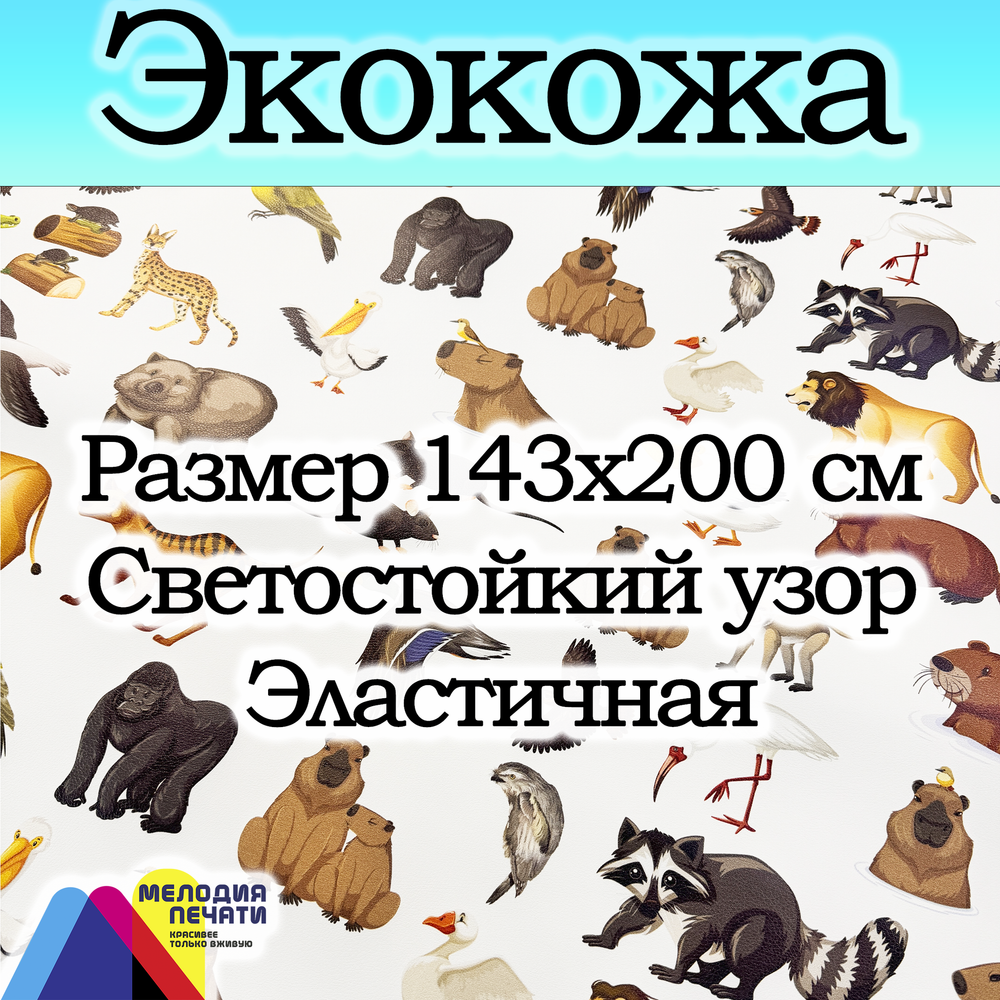 Экокожа 2 метра
