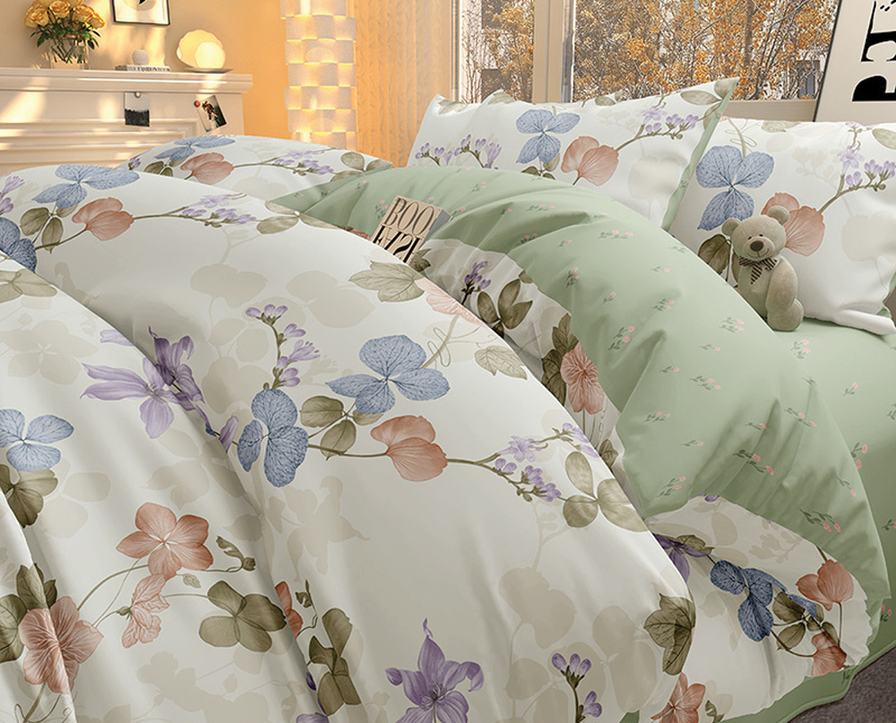 Постельное белье СайлиД B-504 сатин