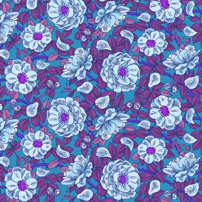 Белый шиповник вечерний, голубые цветы