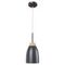 Подвесной светильник Loft IT Watchman Loft4402A-Bl