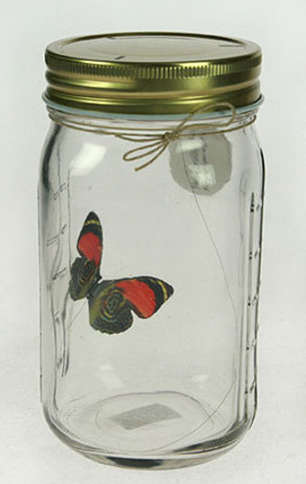 122428 Интерьерное изделие "Бабочка"