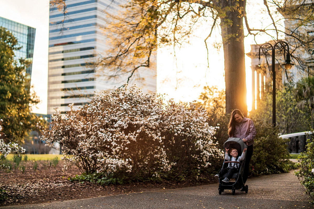 Прогулочная коляска UPPAbaby MINU V2 Greyson