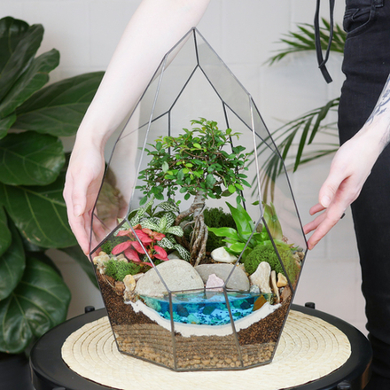 Готовый флорариум бонсай Японский вяз Айсберг с озером