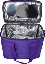 Термосумка 151