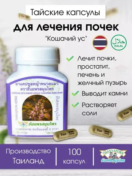 Капсулы Кошачий Ус