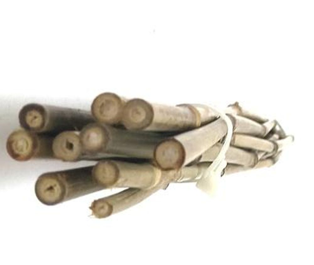 Поддержка бамбуковая 105см, д.8-10мм, к-т10    1/50