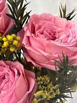 натуральные пионы в стекле, вакуум*