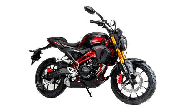 Мотоцикл MOTOLAND 501 (172FMM-5/PR250) ТУРЭНДУРО