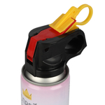 Спрей краска Холи для Гендер Пати, 22-24 сек, Розовый, 450 г ВВ