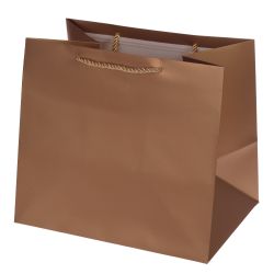 GAEM Пакет подарочный (бумага 230г/м2, блок 12шт), L28 W20 H25 см, 5в.