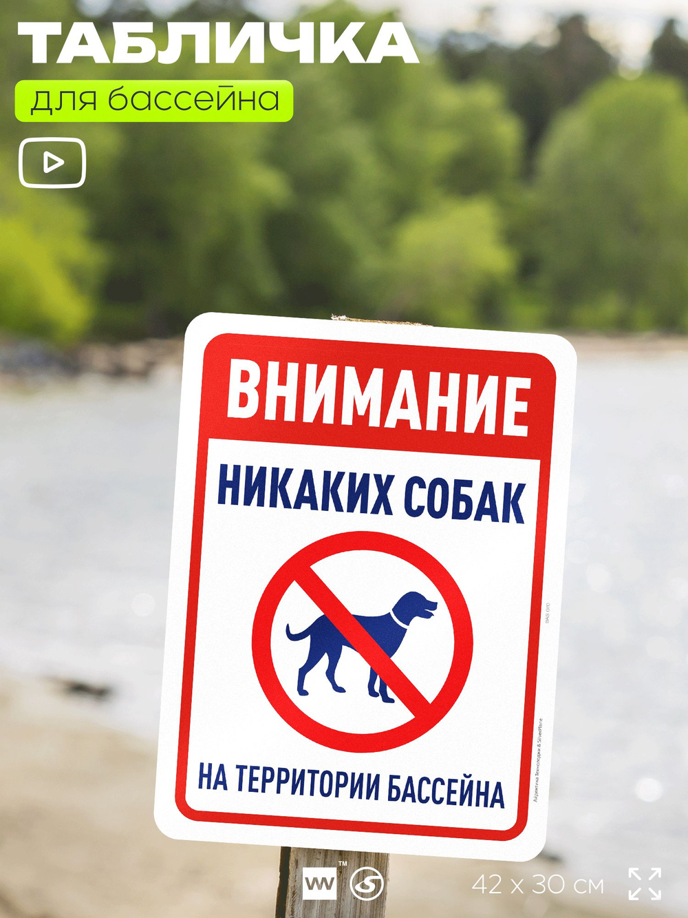 Табличка для бассейна "Внимание, никаких собак", на пляж, для общественной и частной зоны отдыха, информационная, 40х30 см, Silver Plane x Айдентика Технолоджи