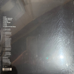Виниловая пластинка The Chemical Brothers – We Are The Night 2LP