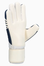 Вратарские перчатки Uhlsport Fangmaschine Supersoft HN