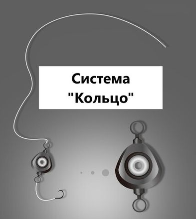 Система "Кольцо"