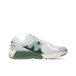 Кроссовки New Balance 860v2 Northern Lights Pack 'Mallard Green' ML860GP2
