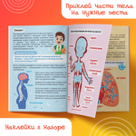 Наклейки «Как устроено моё тело», 16 стр