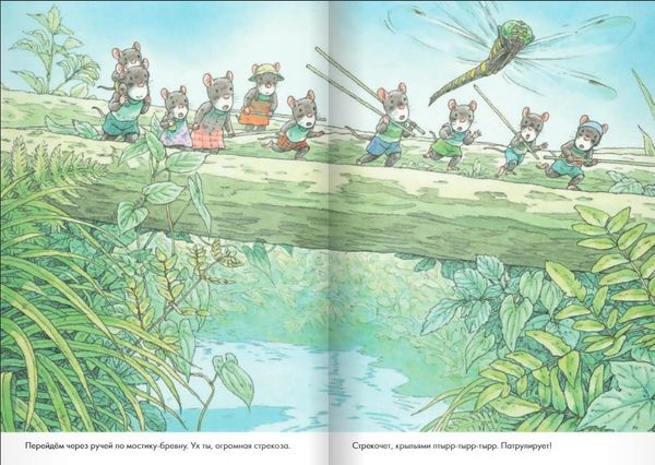 14 лесных мышей. Стрекозиный пруд