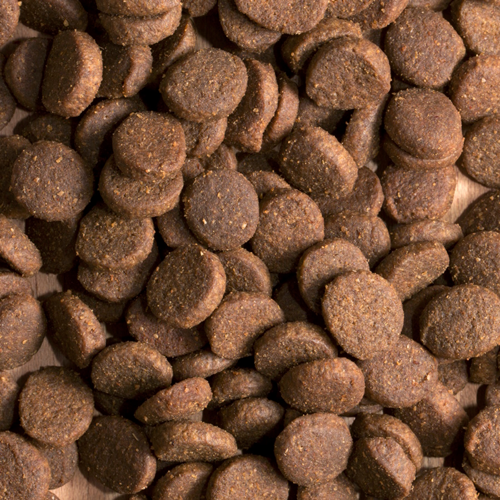 Сухой беззерновой корм Probalance Adult Grain Free для взрослых собак