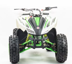 Квадроцикл MOTOLAND (МОТОЛЕНД) 125 COYOTE