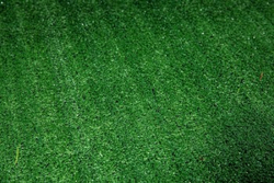 Искусственная трава Импортэкс трава 10 мм