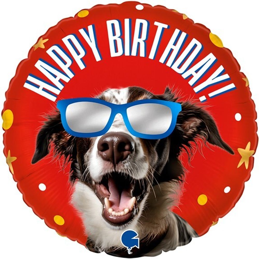 Gr (18&#39;&#39;/46 см) Круг, Happy Birthday (классный пес в очках), Красный, 1 шт.