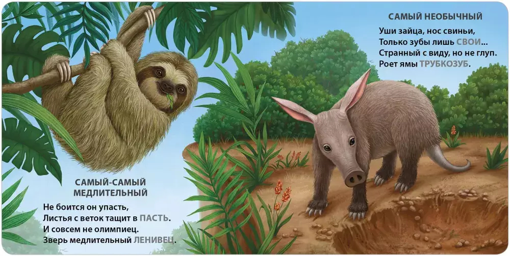 Книжки - картонки. Загадки - рифмы. Самые-самые животные