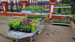 Стеллаж торцевой 1050*800*750