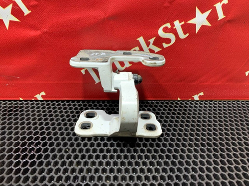 Петля двери правой 2019 год.