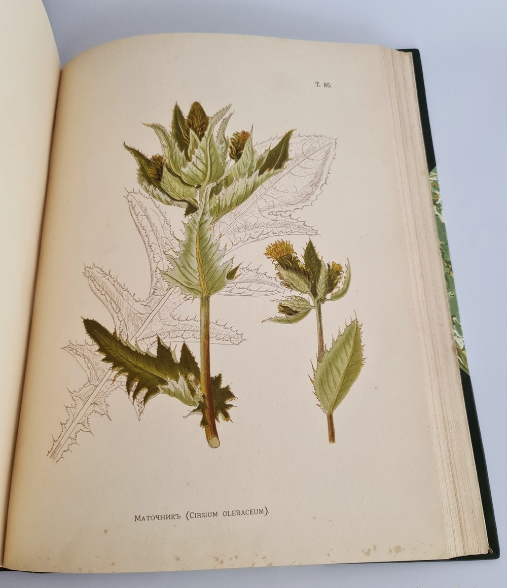 "Иллюстрированная классификация главнейших сортов луговых трав с кратким описанием каждой травы в отдельности". А.Ю.Лашкарев. 1898г. - редкая книга