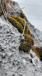 Подвеска Crystal Classic с раухтопазом